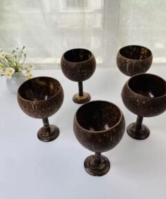 Premium Coconut Shell Goble